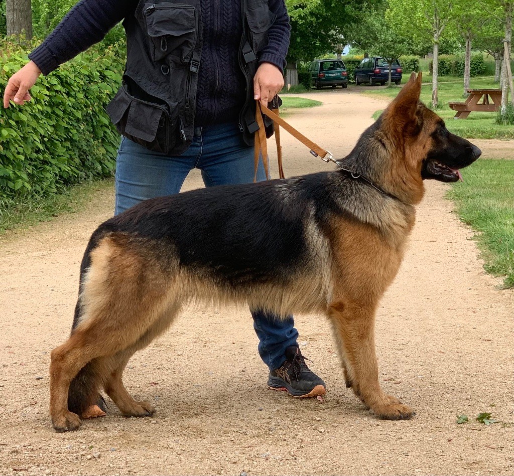 Vanquish du Vent de Traverse