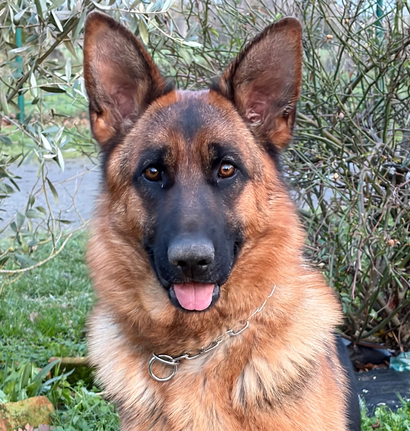 Volcanik du Vent de Traverse